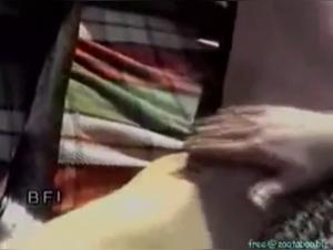 Blonde woman and dog: an unexpected encounter in the great outdoors