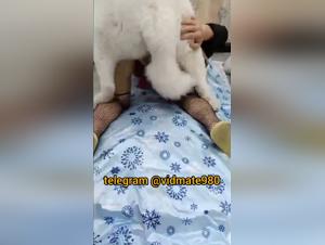 chinese dog sex