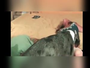 UK Bestiality: A Story of Freedom and Animal Instincts with an Old Female Dog