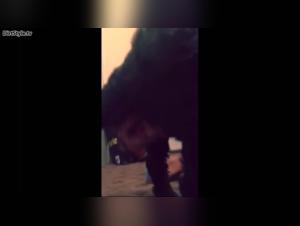 Bestial sex video with a teenager and a black dog