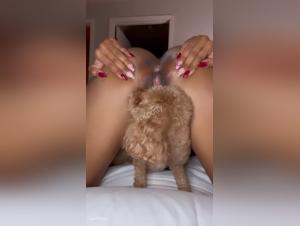 Bestiality: She offers her ass to a dog