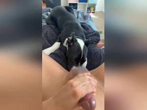 Forbidden Encounters