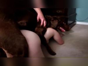 Zooskool: Adilia y Dos Perros - Sexo Animal Brutal