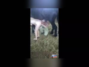 Wild ride: bestiality at its peak