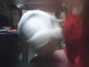 Mature woman in sex video with dog