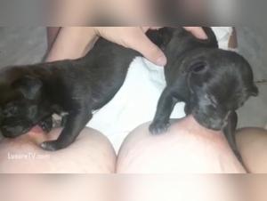 Bestiality: a woman and her dog