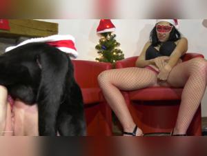 Bestiality Christmas: libertine women have a blast