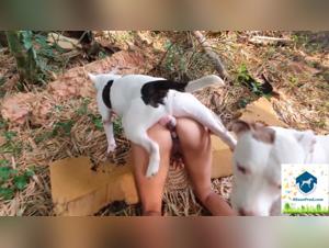 Alison fucks her dog, dirty whore