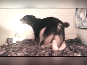 Woman and dog: a beastly encounter