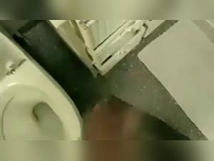 A shocking family story: zoophilia and sex with dogs