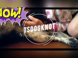 Bestial Video: An Intimate Encounter with a Dog