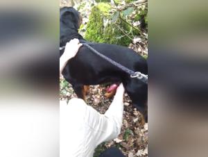 Adventure in the Woods: A Beastly Encounter