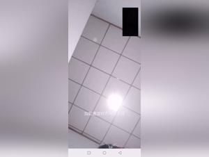 Zoophilia videos: intense and shocking moments