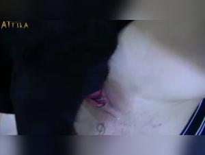Lise Fucked by Her Dog