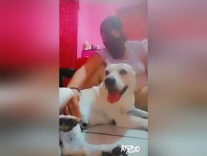 Baise Sauvage Chien Femme