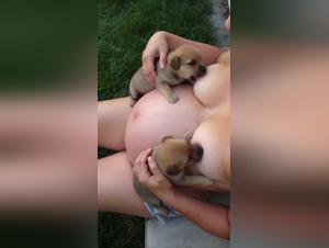 Lactancia con Cachorros: Mujer se Delicia con Perro