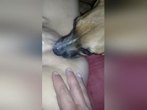 Perro lamiendo a una mujer: Parte 2