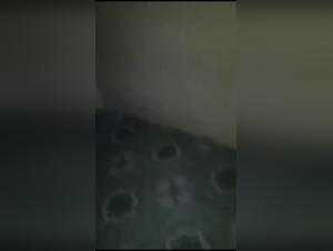 Bestial sex video: a girl and her dog