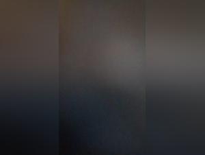 A well-deserved reward for my faithful companion