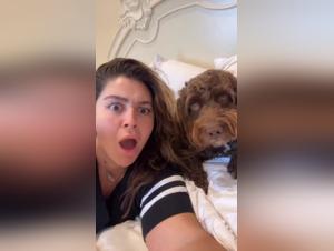 Dog Sex Video - My God, What an Impressive Dog!