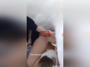 Chica dominante se da con perro