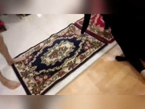 Extreme Zoophilia Video Collection