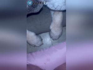 Tierische Küsse Extreme