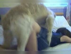 Woman and dog: a bestiality sex video not to be missed