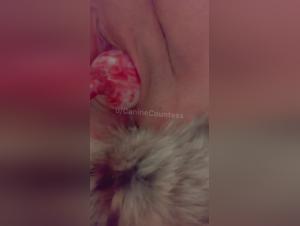 A beastly and exciting encounter between a teenager and her dog