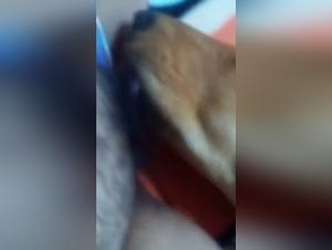 Rica and her canine companion in a shocking zoophilia video