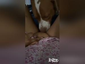 A fatal blow in the zoo-school : a gold standard for your sexual pleasure