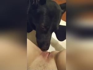 Bestiality: A woman and her dog