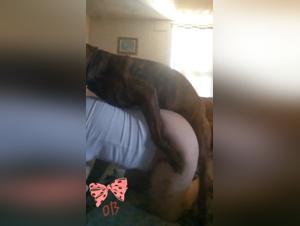 DogsFucking Teens: Unveiling Zoo Taboo Desires