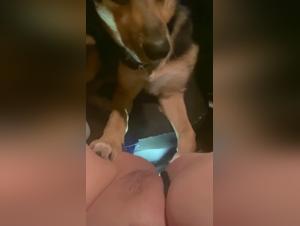 Woman submissive to dog in bestiality sex video