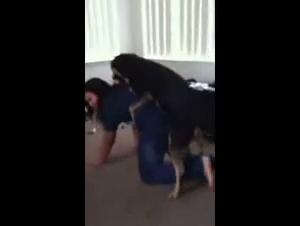 dog fucks, cum drink god