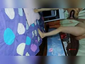 Harmony with nature: a beastly experience on video