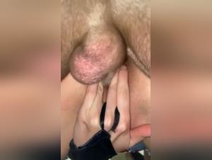 Pornografía Canina: Leyes Rotas, Deseos Satisfechos