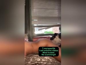 Beautiful young brunette woman and dog in bestiality video