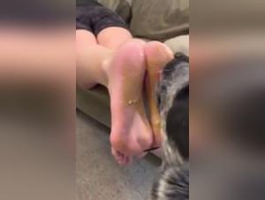 Bestiality: Woman and Dog in Hard Videos