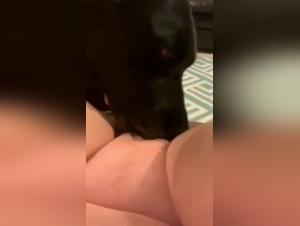 Bestiality: a woman and her dog