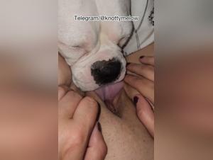 Von seinem Hund geleckt