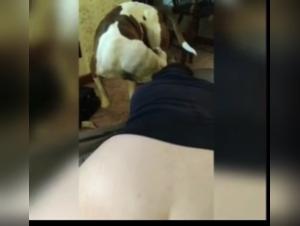 Knot Pullout 2: Hund Befreit Frau - Ohne Auslöschung