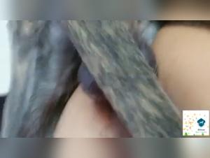 Tierische Begierde: Dog Sex Videos Extreme