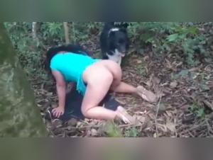 Walking in the forest with a dog: a beastly and intense experience