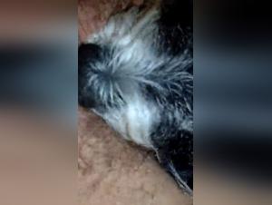 A young woman and her dog in a shocking bestiality video