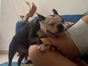 Shocking video: Teenage girl and her dog