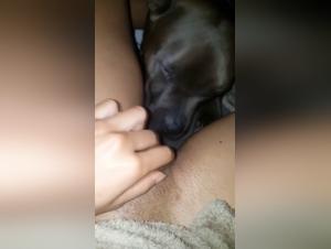 Dog Licks Girl