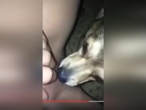 Bestial Experience: A Woman and Her Dog