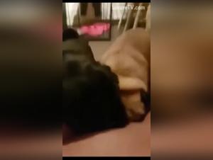 Dogs hungry for juvenile intimate juice