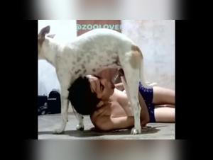 girls sucking dog cock
